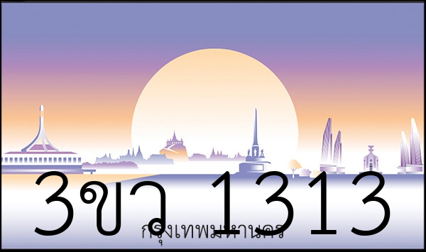3ขว 1313